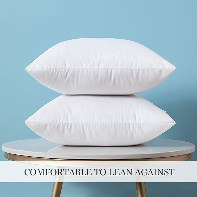 MIULEE Set of 2 Throw Pillow Inserts Premium Pillow Stuffer Square Form - Image 6