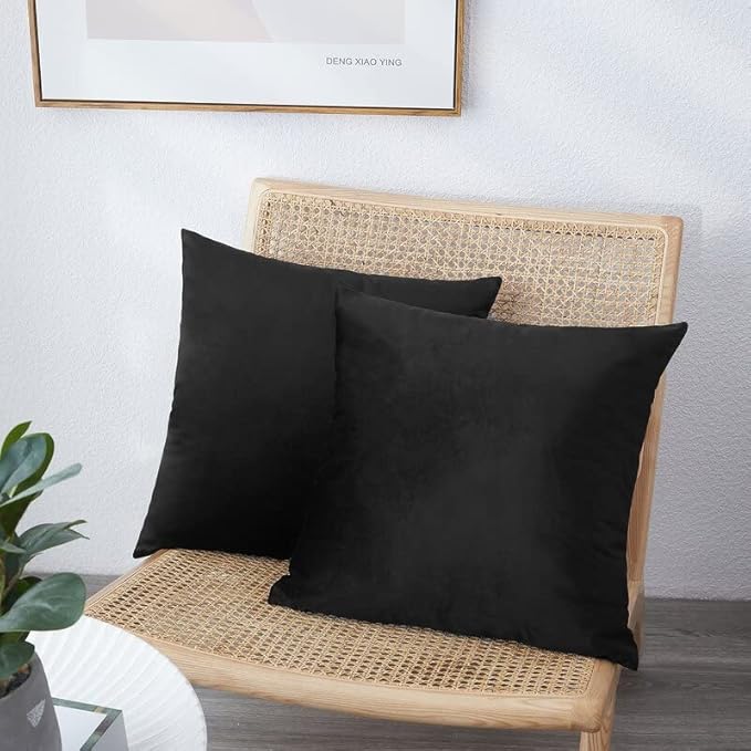 NiNi ALL Decorative Throw Pillow Covers Pack of 2, Velvet Throw Pillow Cases - Image 3