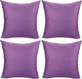 Thmyo 4-Pack 100% Cotton Comfortable Solid Decorative Throw Pillow Case by Thmyo