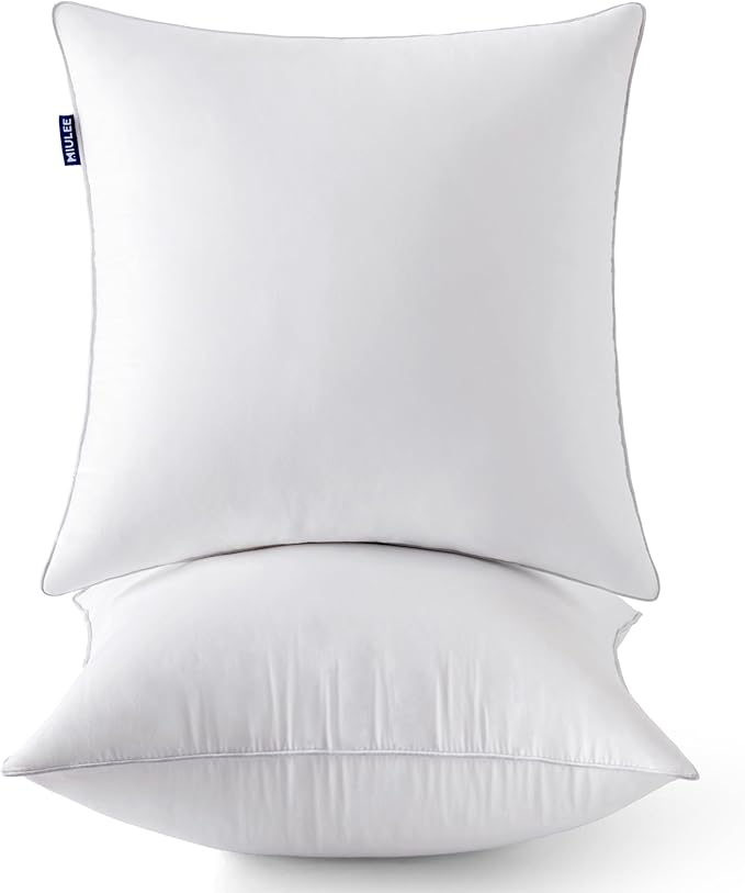 MIULEE 22 x 22 Pillow Inserts -Decorative Throw Pillows by MIULEE