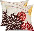 DFXSZ Red Brown Outdoor Pillow Cover 16X16 Inch Set of 2 Outdoor Waterproof by DFXSZ