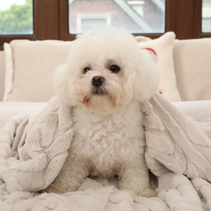 Cozy Bliss Faux Fur Throw Blanket - Image 5
