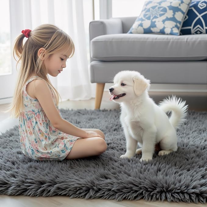 Rugs for Living Room 6x9, Alfombras para Salas Shag Large Plush Soft Area Rug - Image 7