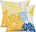 DFXSZ Yellow Blue Outdoor Pillow Cover 18X18 Inch Set of 2 Outdoor Waterproof by DFXSZ