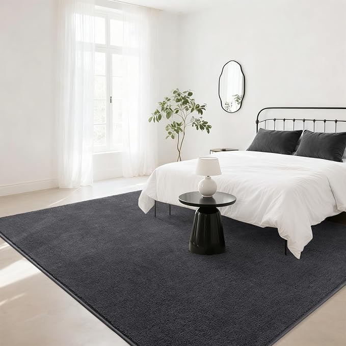 Soft Rugs for Living Room 4x6 Dark Grey, Minimalist Area Rug for Bedroom - Image 3