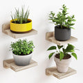 Fixwal Floating Shelves for Wall, Rustic Wood Small Wall Mounted Shelves for by Fixwal