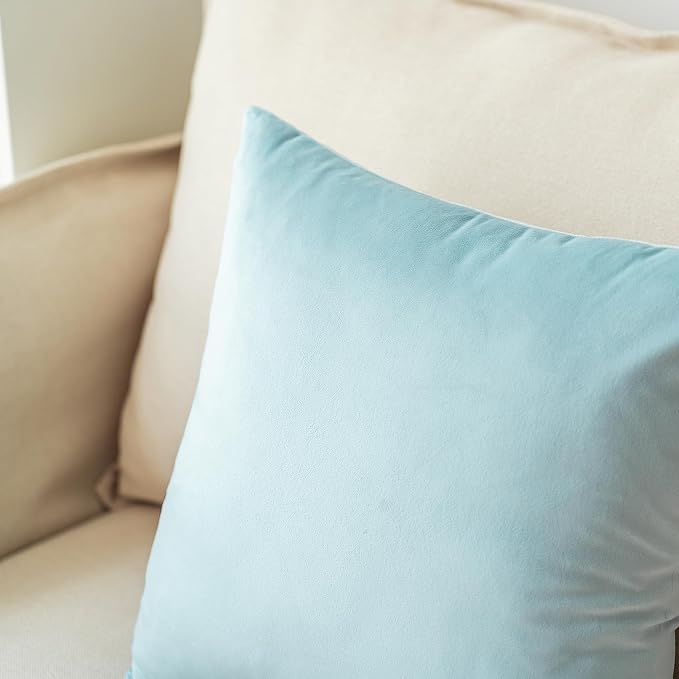 NiNi ALL Decorative Throw Pillow Covers Pack of 2, Velvet Throw Pillow Cases - Image 4