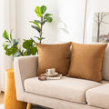 NiNi ALL Decorative Throw Pillow Covers Pack of 2, Velvet Cushion Case by NiNiALL