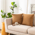 NiNi ALL Decorative Throw Pillow Covers Velvet 26x26 Inch Pack of 2 Brown by NiNiALL