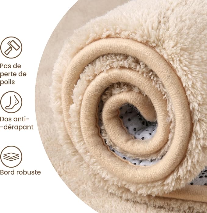 Sour Lemon 6x9 Area Rugs for Living Room, Soft Large Area Rug Fluffy Rugs for - Image 4