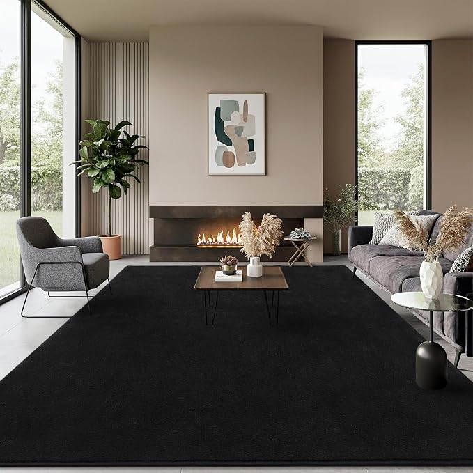Soft Rugs for Living Room 5x7 Black, Minimalist Area Rug for Bedroom Nursery by BBENRON