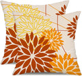 DFXSZ Brown Yellow Fall Pillow Cover 18X18 Inch Set of 2 Outdoor Waterproof by DFXSZ