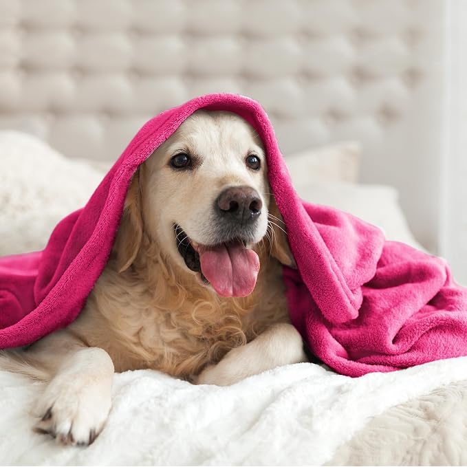 BEDELITE Fleece Blanket King Size Blankets - Image 9
