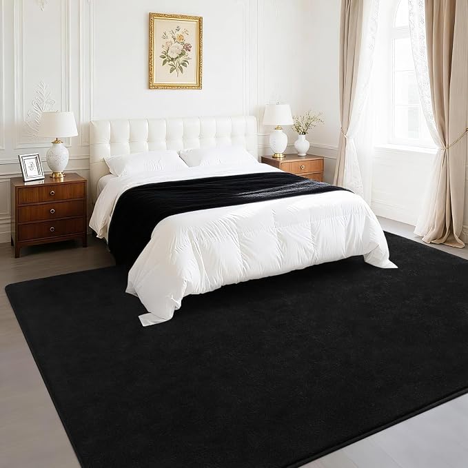 Soft Rugs for Living Room 5x7 Black, Minimalist Area Rug for Bedroom Nursery - Image 4