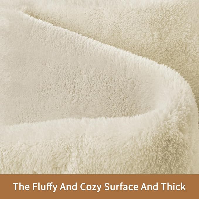 Sour Lemon 9x12 Area Rugs for Living Room, Soft Large Area Rug Fluffy Rugs for - Image 2