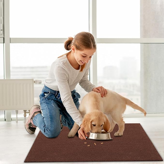 AAZZKANG Blank Doormat Outdoor Entrance Non Slip Front Door Mat 2-Pack Ultra - Image 5
