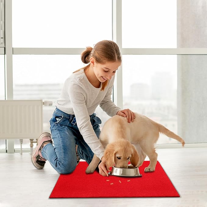 AAZZKANG Red Door Mat Set of 2 Non Slip Durable Multi-Purpose Outdoor Indoor - Image 6