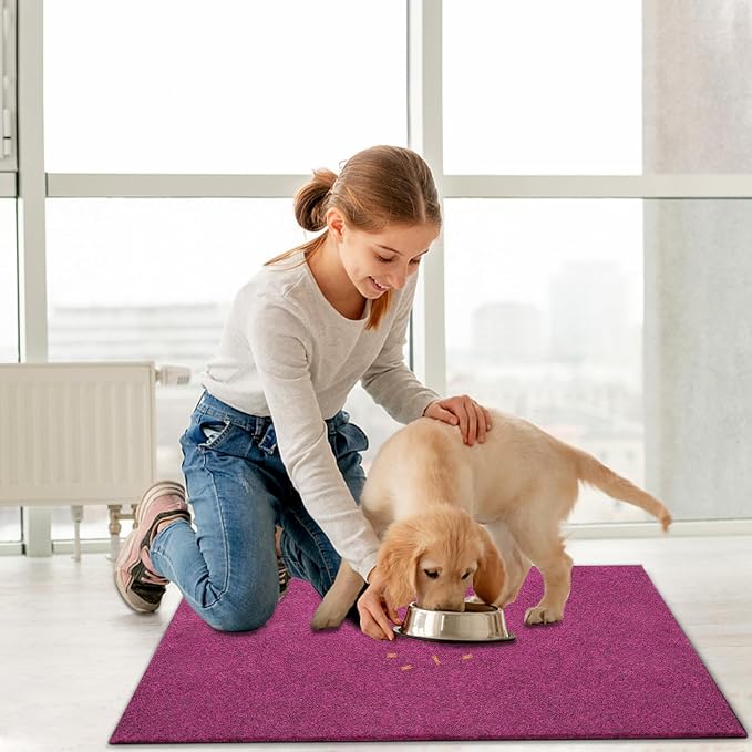 AAZZKANG Set of 2 Purple Doormat Large 36"x24" Outside Inside Utility Floor Mat - Image 5