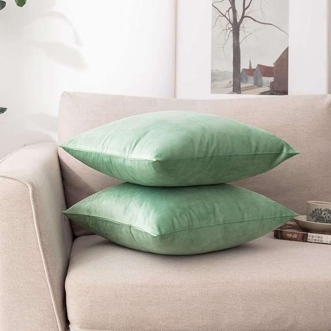 NiNi ALL Decorative Throw Pillow Covers Pack of 2, Velvet Cushion Case - Image 3
