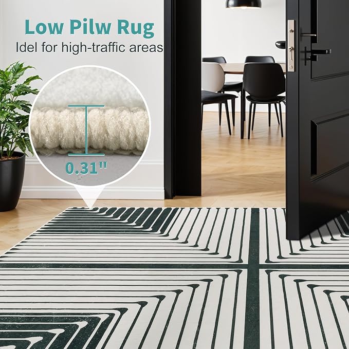 LIANLAM Washable Rug Area Rugs for Living Room - Image 6