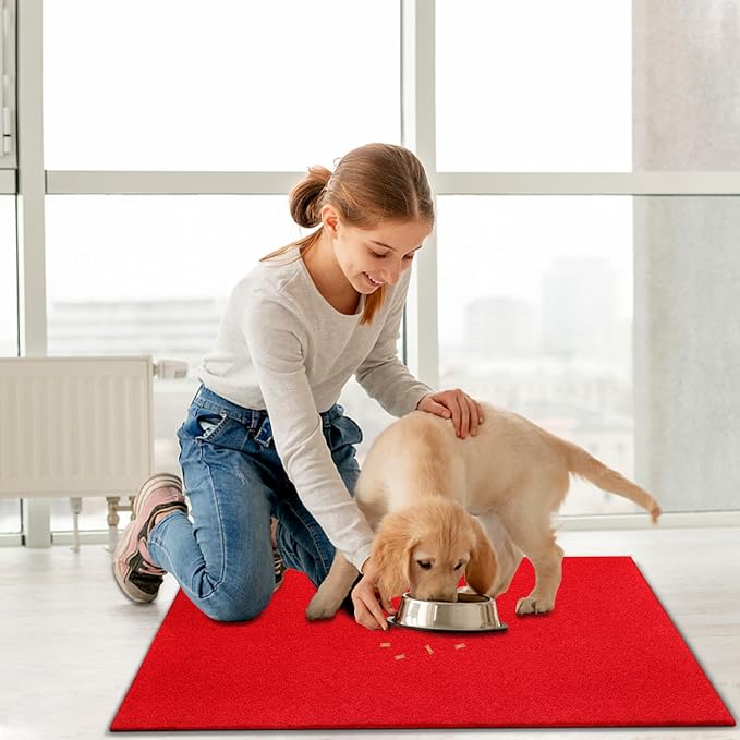 AAZZKANG Red Door Mat Set of 2 Non Slip Durable Multi-Purpose Outdoor Indoor - Image 5