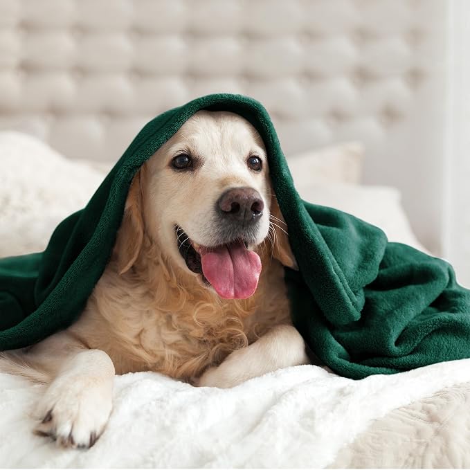 BEDELITE Fleece Blanket King Size Blankets - Image 9