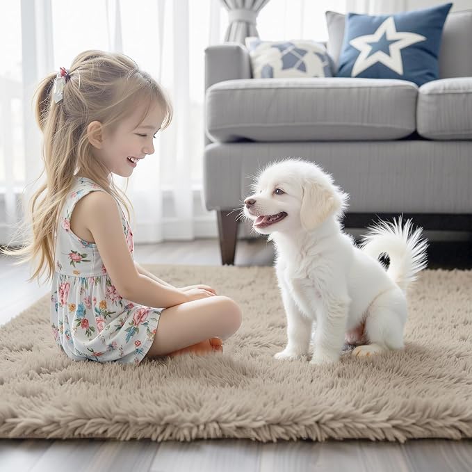 Rugs for Bedroom 4x6, Alfombras para Salas Shag Large Plush Soft Area Rug - Image 2