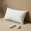 MIULEE Pillow Insert 20x26 Inch, Decorative Rectangle Throw Pillow Inserts by MIULEE