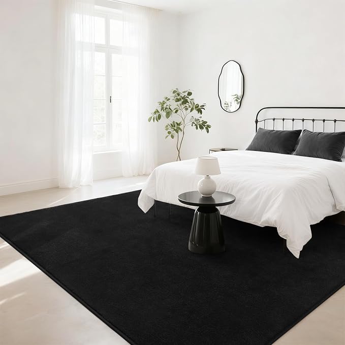 Soft Rugs for Living Room 4x6 Black, Minimalist Area Rug for Bedroom Nursery - Image 4