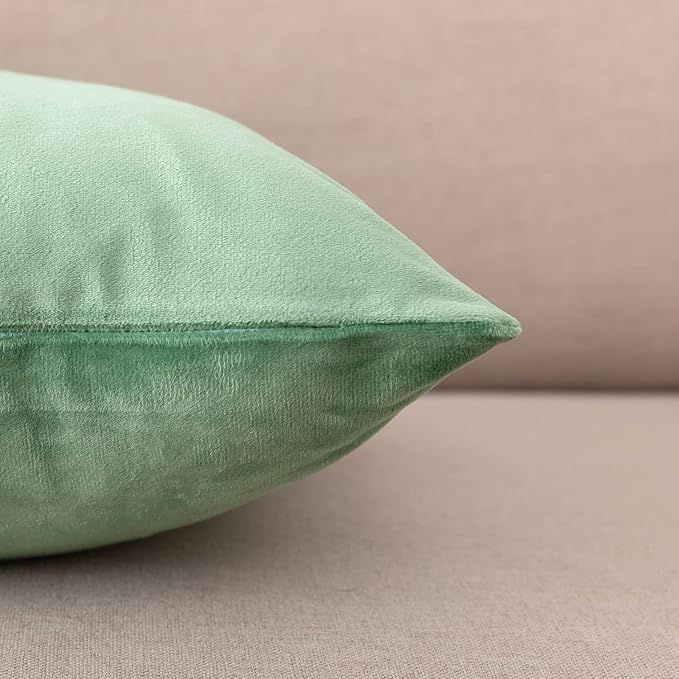 NiNi ALL Decorative Throw Pillow Covers Pack of 2, Velvet Cushion Case - Image 6