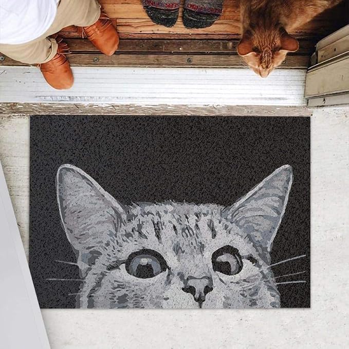 MR FANTASY Cat Door Welcome Mat - Image 8