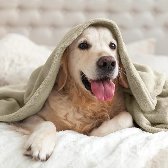BEDELITE Fleece Blanket Oat Linen Throw Blankets - Image 7
