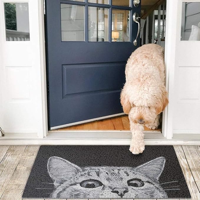 MR FANTASY Cat Door Welcome Mat - Image 6