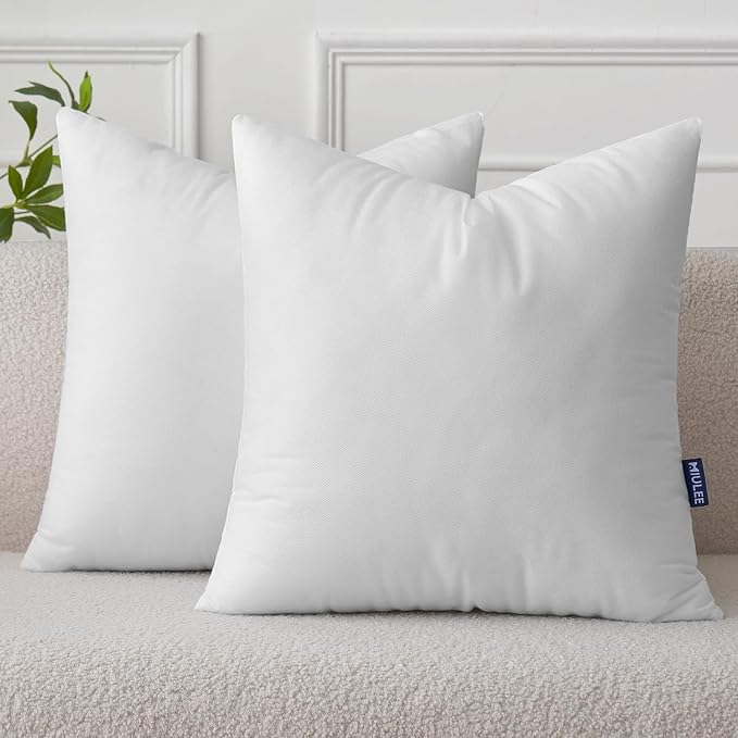 MIULEE Set of 2 Throw Pillow Inserts 24x24 Inches, Non-Woven Decorative Pillow by MIULEE