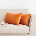 NiNi ALL Decorative Throw Pillow Covers Pack of 2, Halloween Velvet Cushion Case by NiNiALL