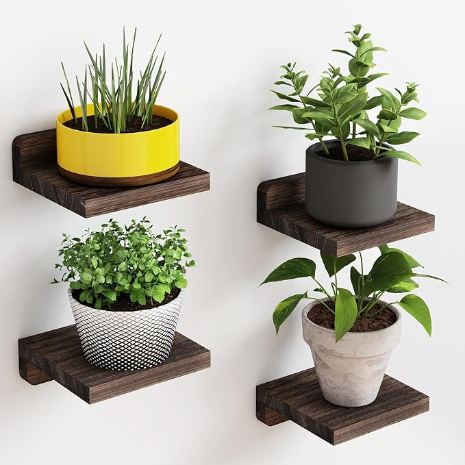 Fixwal Small Shelf for Wall, 5X5 Inches Floating Shelves Set of 4, Rustic Wood by Fixwal