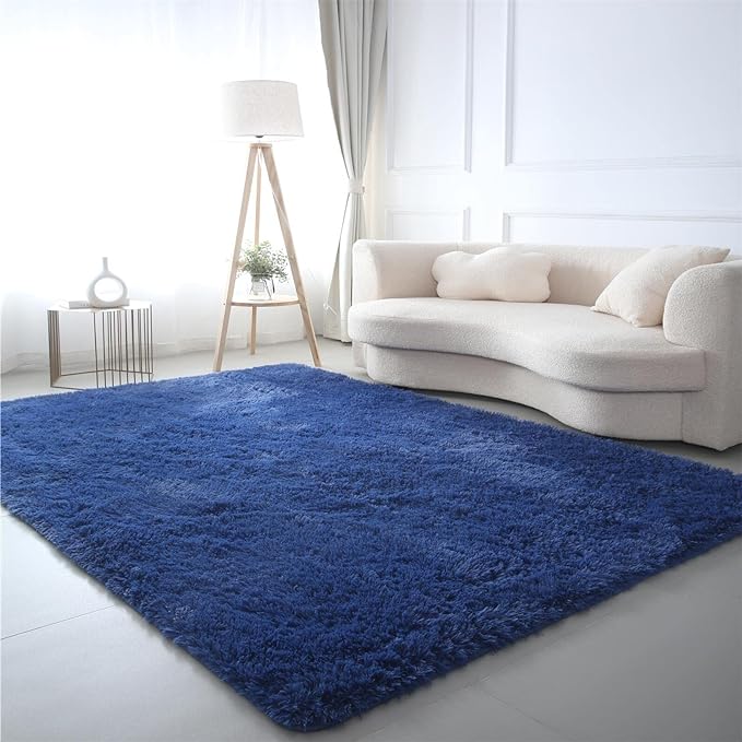 CAIYUECS Blue Area Rug for Bedroom 3x5: Indoor Ultra Soft Plush Rugs for by CAIYUECS