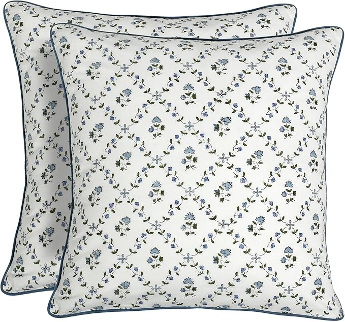 Ridhi Block Print Powder Blue Pillow Cover 18" x 18" Decorative Couch Pillows by Ridhi