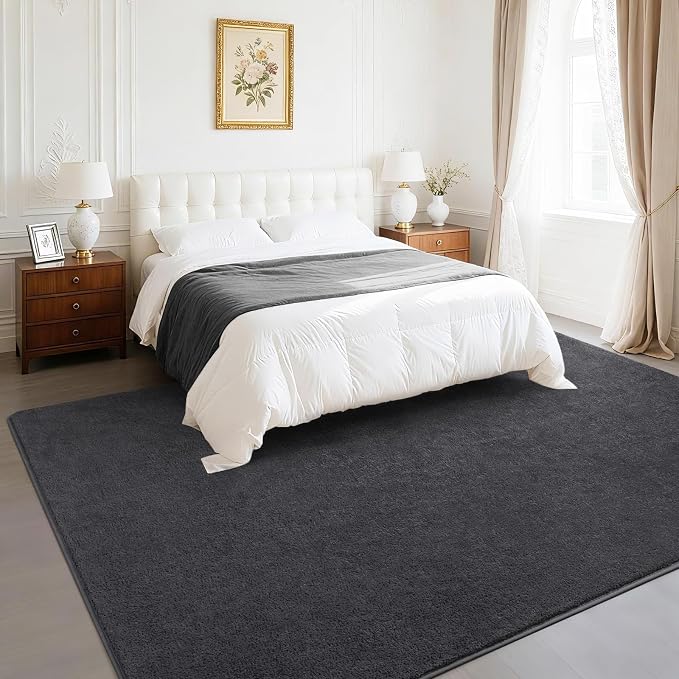 Soft Rugs for Living Room 6x9 Dark Grey, Minimalist Area Rug for Bedroom - Image 4