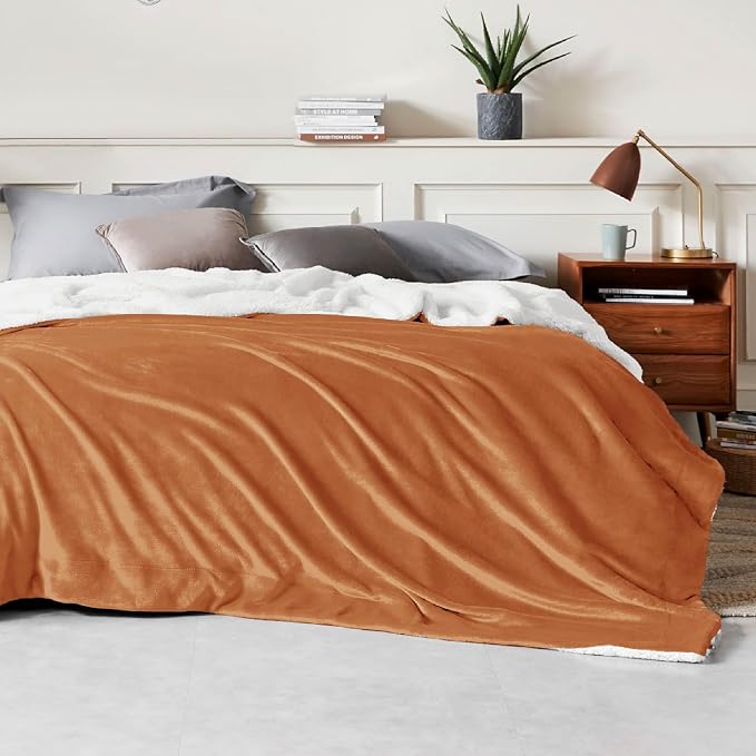 Bedsure GentleSoft Sherpa Fleece Blankets King Size - Image 3