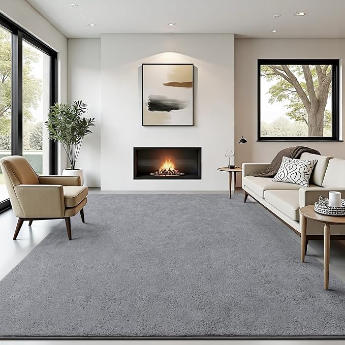 Soft Rugs for Living Room 5x7 Grey, Minimalist Area Rug for Bedroom Nursery by BBENRON