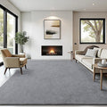 Soft Rugs for Living Room 5x7 Grey, Minimalist Area Rug for Bedroom Nursery by BBENRON