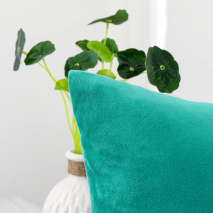 NiNi ALL Decorative Throw Pillow Covers Velvet 16x16 Inch Pack of 2 Aqua Green - Image 3