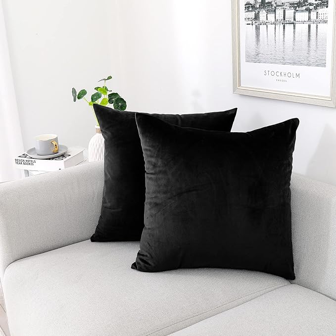 NiNi ALL Decorative Throw Pillow Covers Pack of 2, Velvet Throw Pillow Cases by NiNiALL