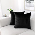 NiNi ALL Decorative Throw Pillow Covers Pack of 2, Velvet Throw Pillow Cases by NiNiALL