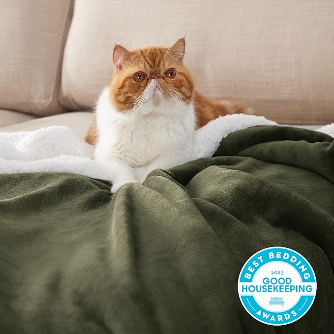 Bedsure GentleSoft Sherpa Fleece Blanket Queen Size - Image 2