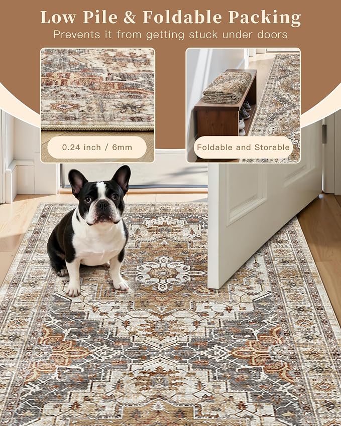 Madane Washable Area Rug 2x3, Small Entryway Rug Non-Slip Vintage Door Mat - Image 6