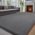 Sour Lemon 4x6 Area Rugs for Living Room, Soft Area Rug Fluffy Rugs for by SourLemon