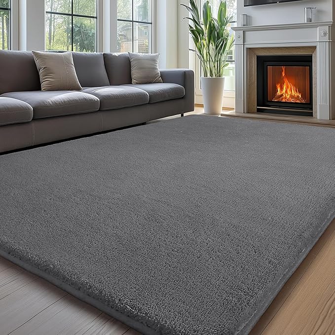Sour Lemon 4x6 Area Rugs for Living Room, Soft Area Rug Fluffy Rugs for by SourLemon