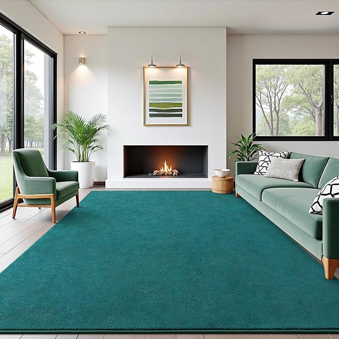 Soft Rugs for Living Room 5x7 Teal Green, Minimalist Area Rug for Bedroom by BBENRON